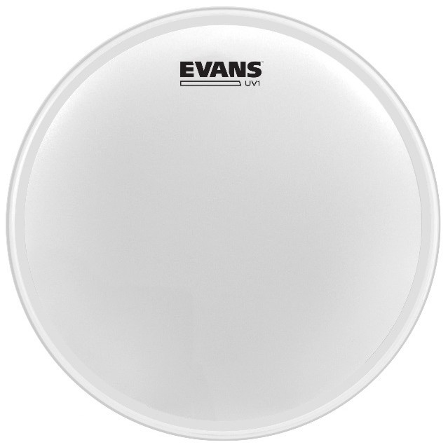 Hlavní obrázek 14" EVANS B14UV1 UV1 Coated 14”