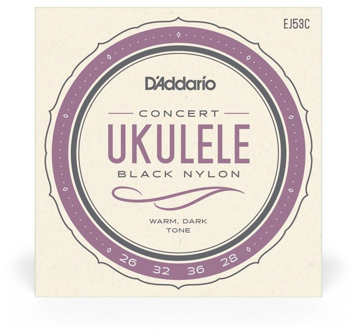 Hlavní obrázek Koncertní D'ADDARIO EJ53C