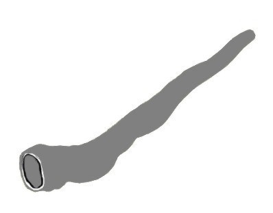 Hlavní obrázek Didgeridoo DIDGERIDOO DDTP 0006 Tn