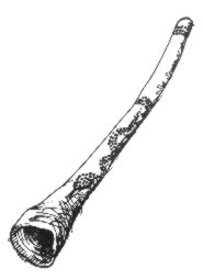 Hlavní obrázek Didgeridoo DIDGERIDOO DDTP 0011EUK