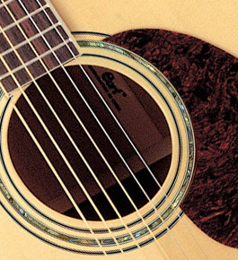 Galerijní obrázek č.1 Dreadnought CORT Earth100 NS