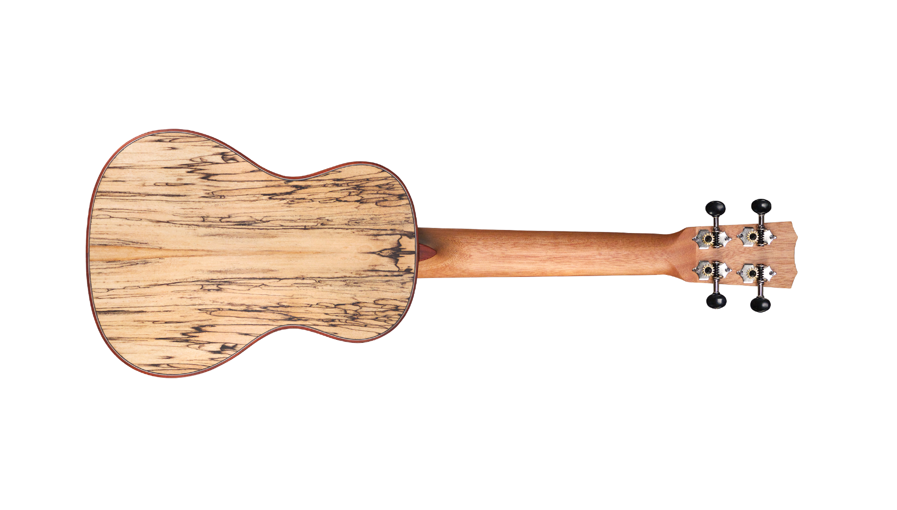 Galerijní obrázek č.2 Akustické kytary a ostatní CORDOBA 24C Spruce - Natural