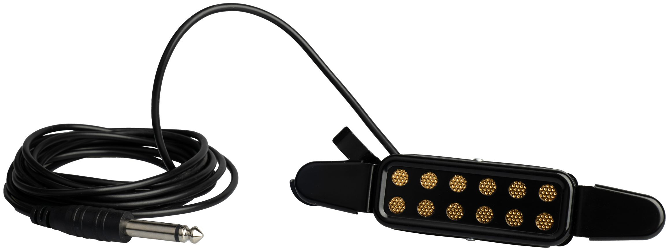 Hlavní obrázek Akustické HENRY’S Loudee AHS-12G