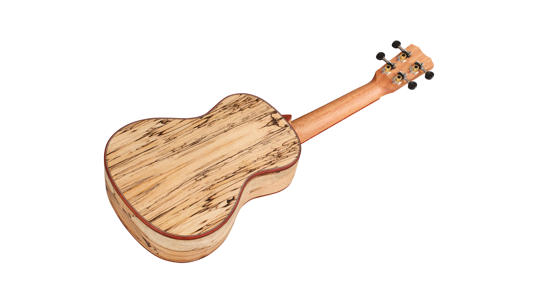 Galerijní obrázek č.3 Akustické kytary a ostatní CORDOBA 24C Spruce - Natural