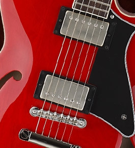 Galerijní obrázek č.2 Semiakustické a jazzové CORT Source CR