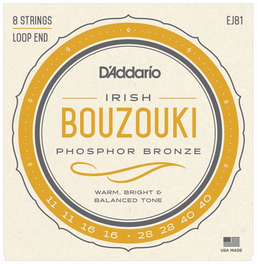 Hlavní obrázek Pro ostatní strunné nástroje D'ADDARIO EJ81