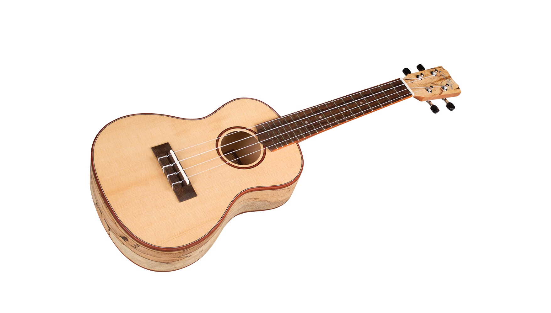 Galerijní obrázek č.1 Akustické kytary a ostatní CORDOBA 24C Spruce - Natural