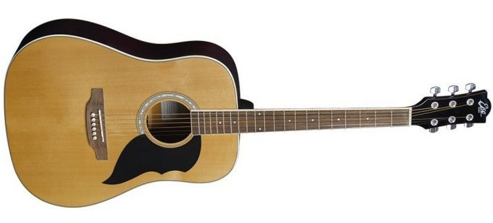 Hlavní obrázek Dreadnought EKO Ranger 6 - Natural