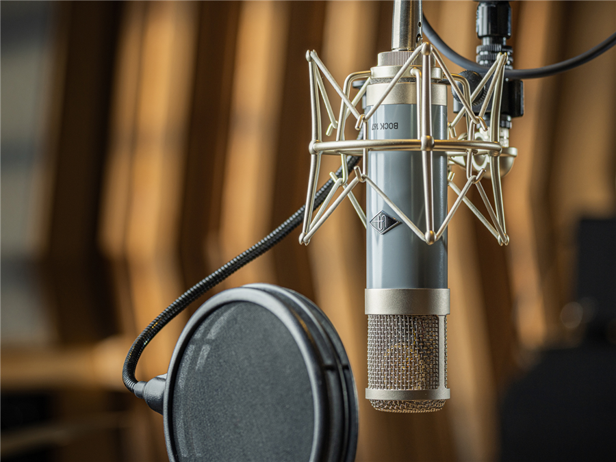 Galerijní obrázek č.6 Lampové mikrofony UNIVERSAL AUDIO Bock 167