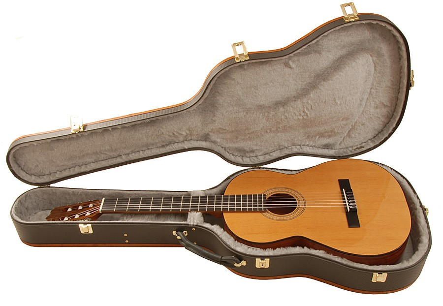 Galerijní obrázek č.1 Tvrdá pouzdra YAMAHA Case APX