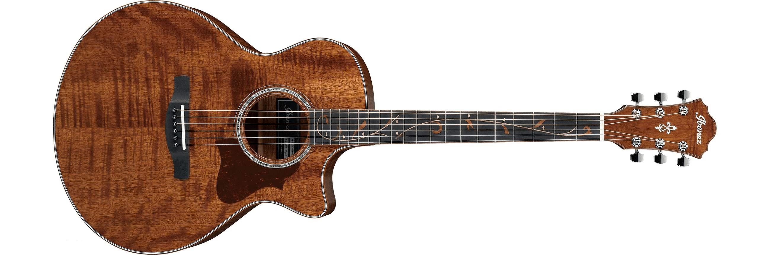 Hlavní obrázek Další tvary IBANEZ AE315FMH Open Pore Semi Gloss