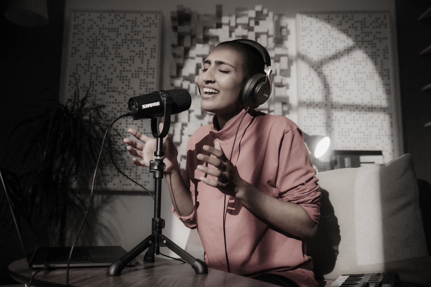 Galerijní obrázek č.14 Mikrofony pro rozhlasové vysílání SHURE MV7 K (black)