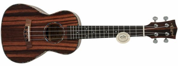 Hlavní obrázek Koncertní AIERSI SU204AE Ebony Concert Ukulele Open Pore Natural With Pick