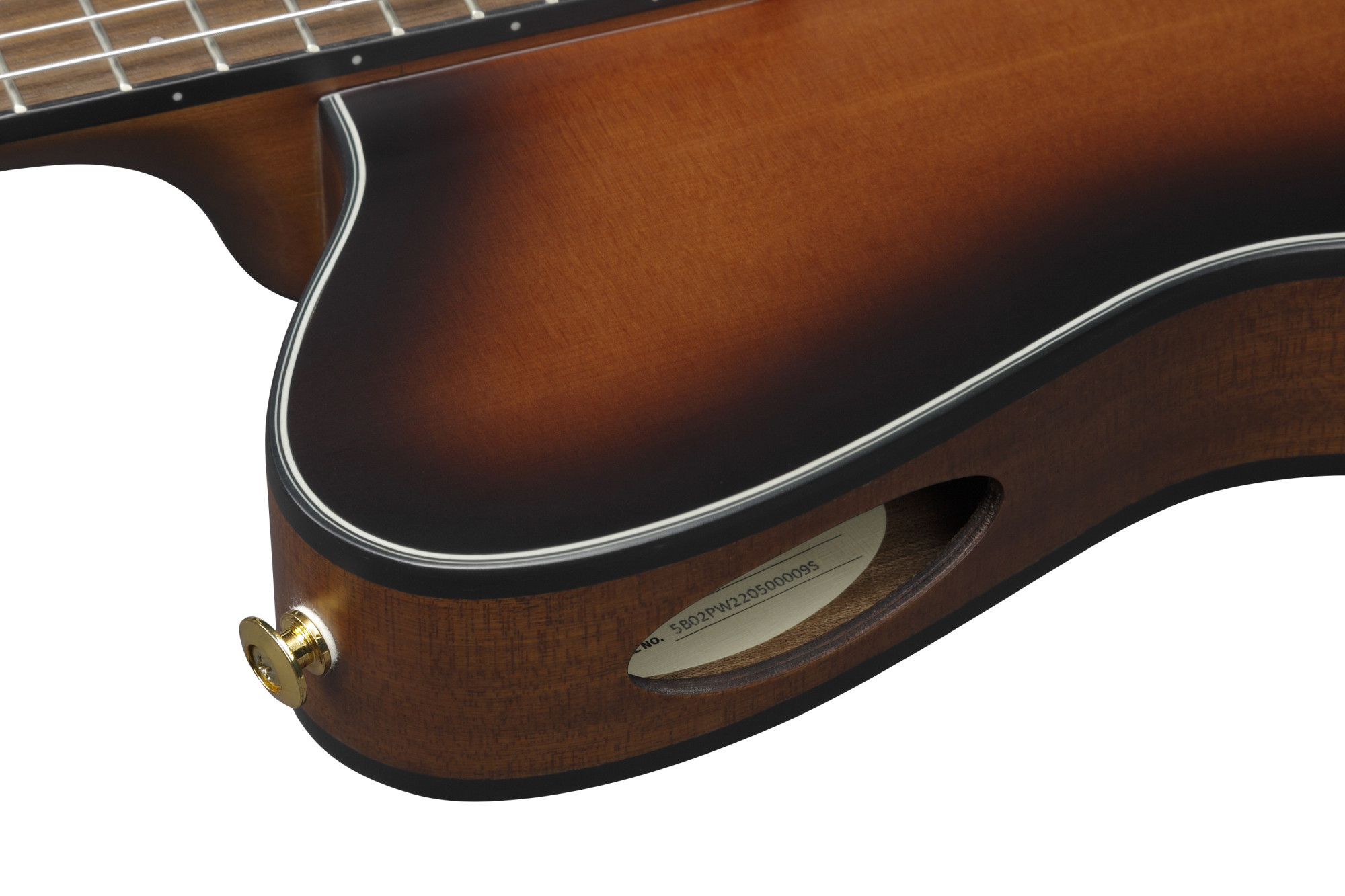 Galerijní obrázek č.7 Další tvary IBANEZ FRH10N-BSF - Brown Sunburst Flat