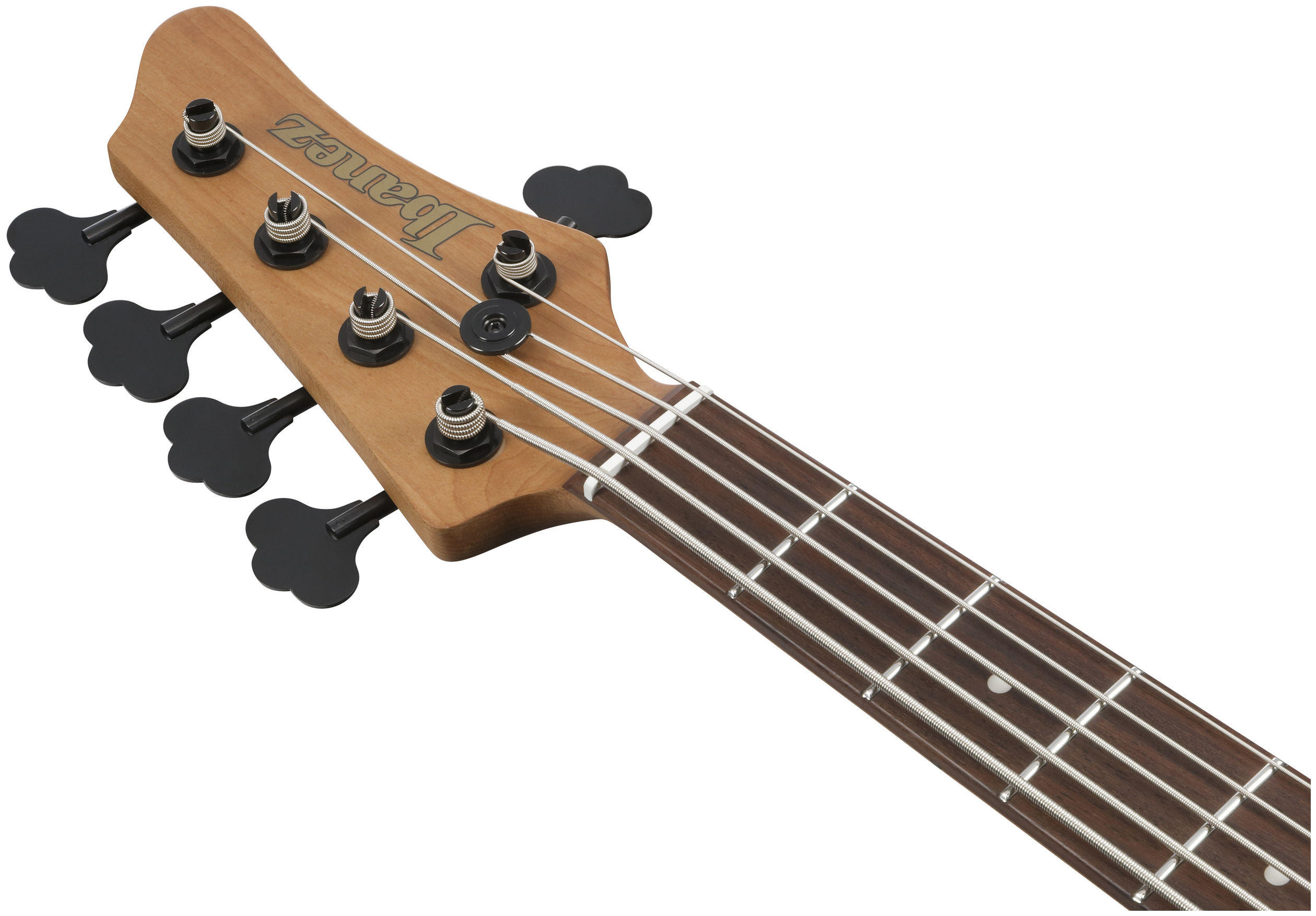 Galerijní obrázek č.8 5strunné IBANEZ MDM1605-DTW - Deep Twilight