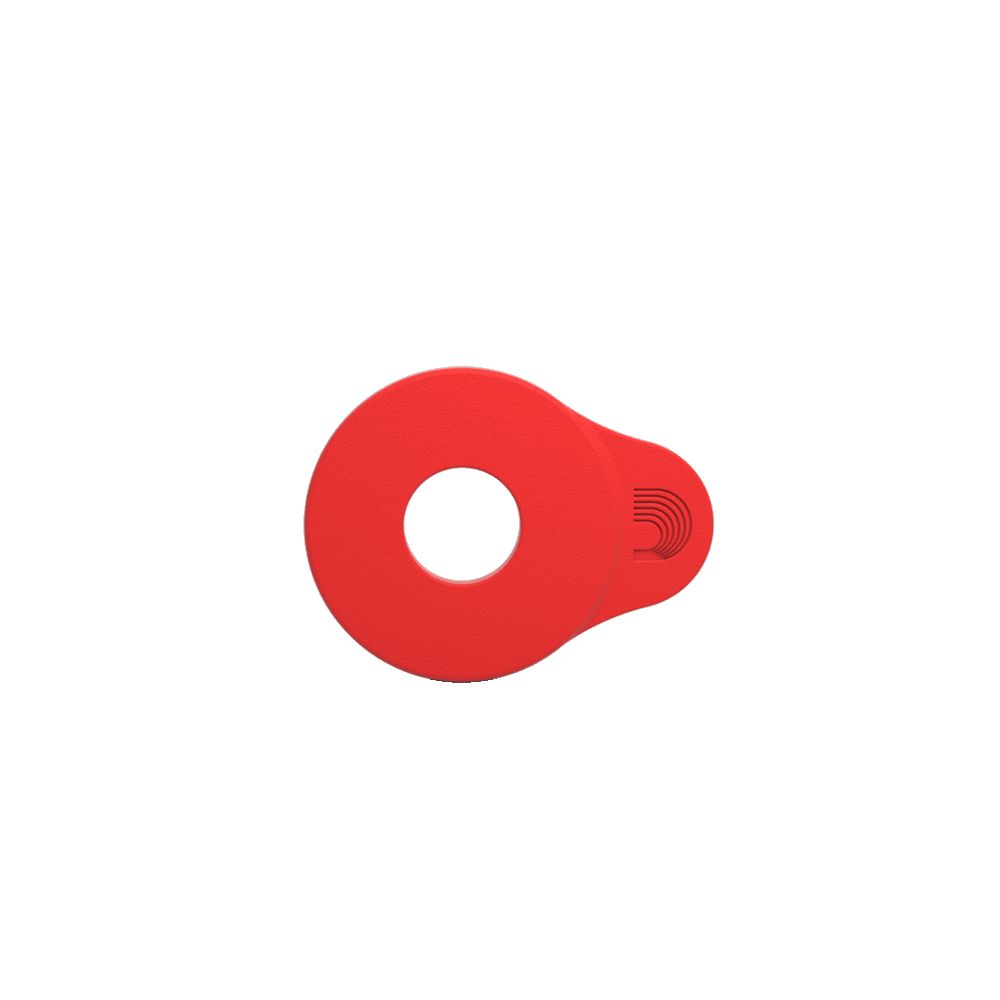 Galerijní obrázek č.1 Zámky na popruh D'ADDARIO PW-FLSB-04RD