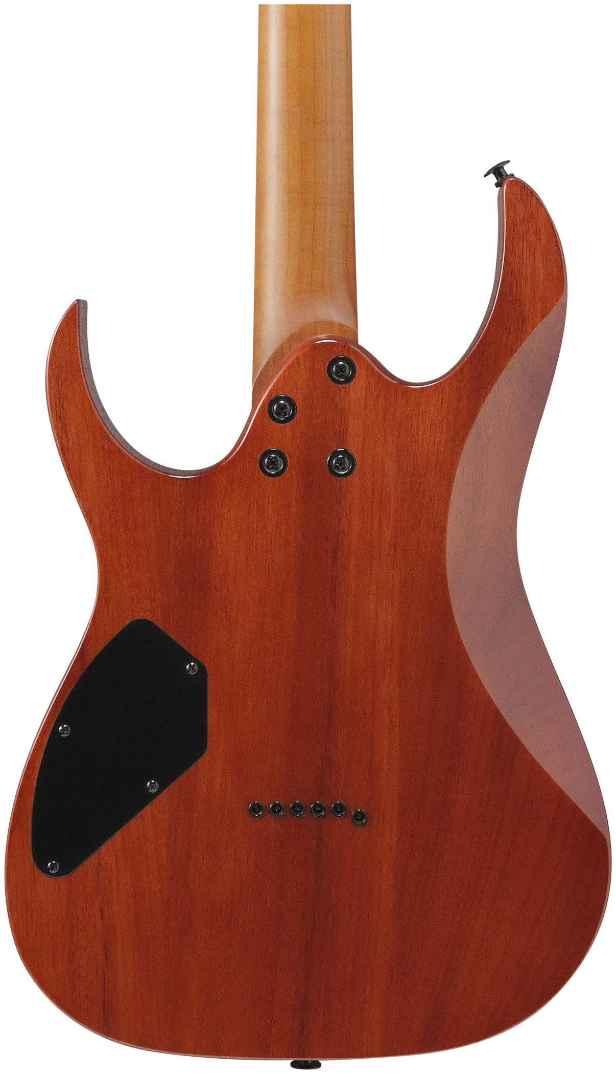 Galerijní obrázek č.4 Superstrat IBANEZ GRGR221FA-TDK - Transparent Indigo Black