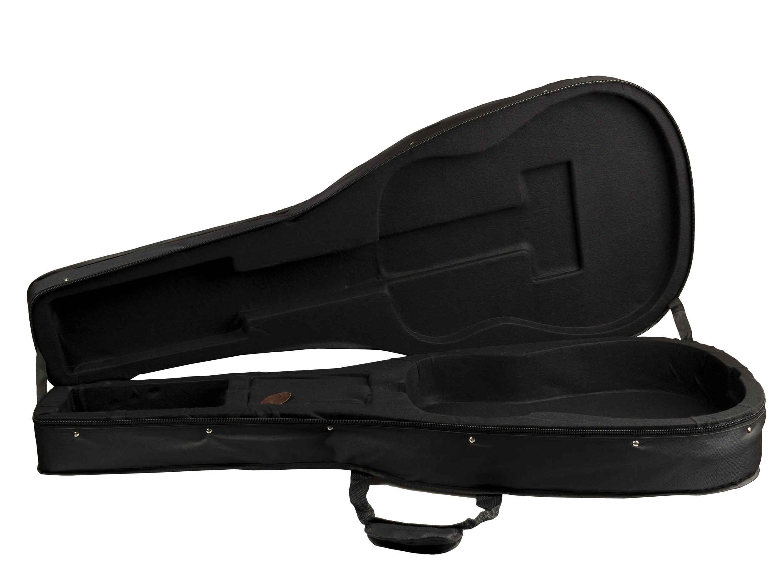 Galerijní obrázek č.15 Akustické kytary a ostatní PEAVEY Delta Woods DW-2 with Case - Natural