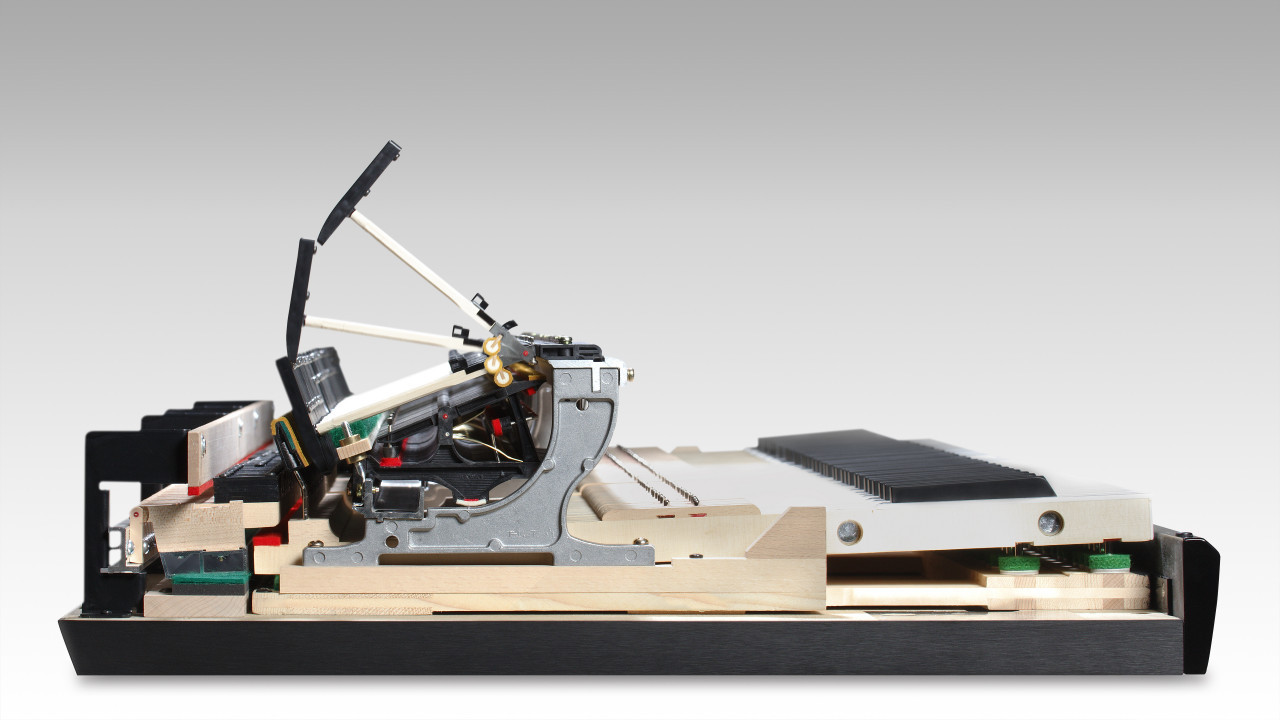 Galerijní obrázek č.15 Digitální piana KAWAI NV10 S