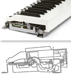 Galerijní obrázek č.3 MIDI keyboardy FATAR - STUDIOLOGIC Numa