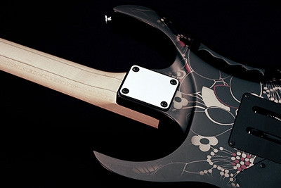 Galerijní obrázek č.1 Superstrat IBANEZ JEM77 FP2 Rosewood Fingerboard - Floral Pattern 2