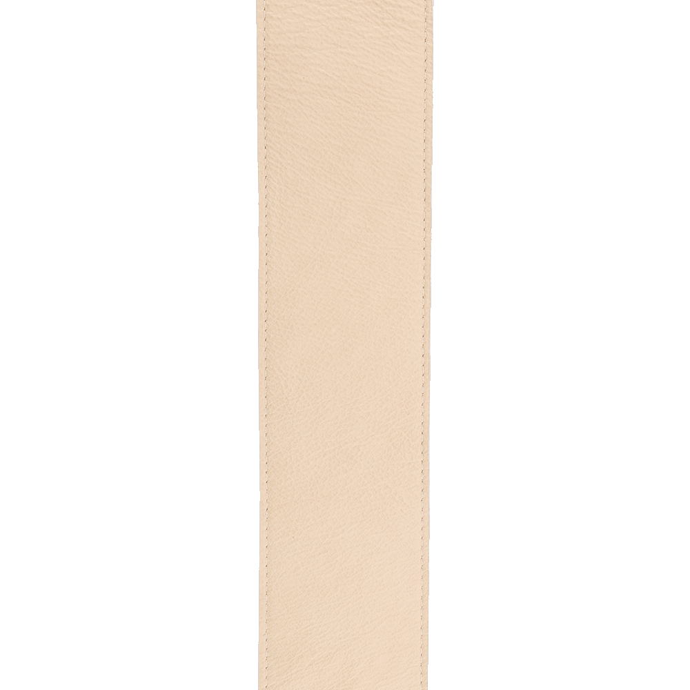 Galerijní obrázek č.1 Kožené/koženkové D'ADDARIO 30BAL01