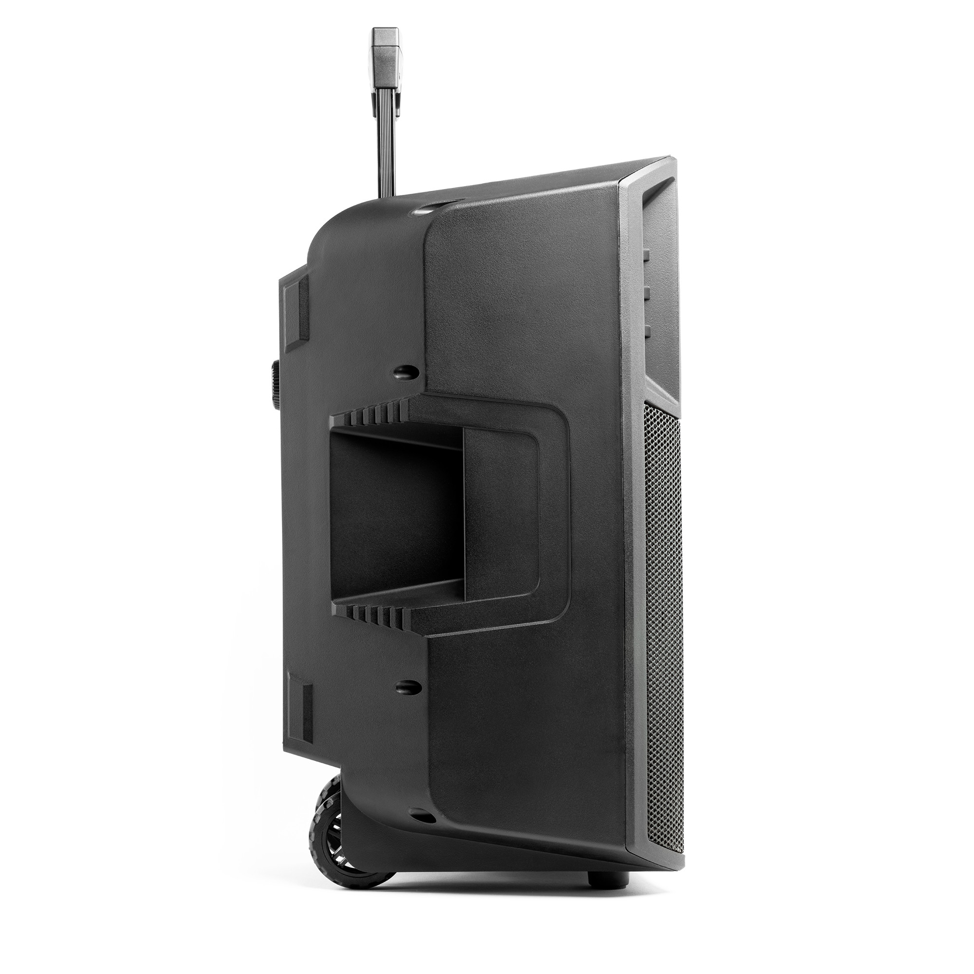 Galerijní obrázek č.9 Párty All-in-one systémy ION Power Glow 300