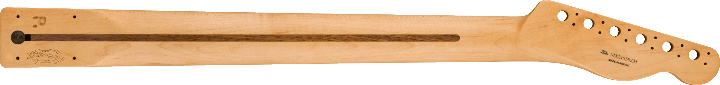 Galerijní obrázek č.1 Náhradní díly FENDER Player Series Telecaster LH Neck, 22 Medium Jumbo Frets, Maple, 9.5”, Modern ”C”