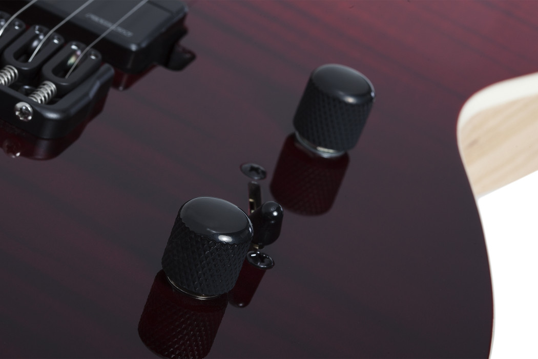 Hlavní obrázek T - modely SCHECTER PT SLS Elite - Blood Burst