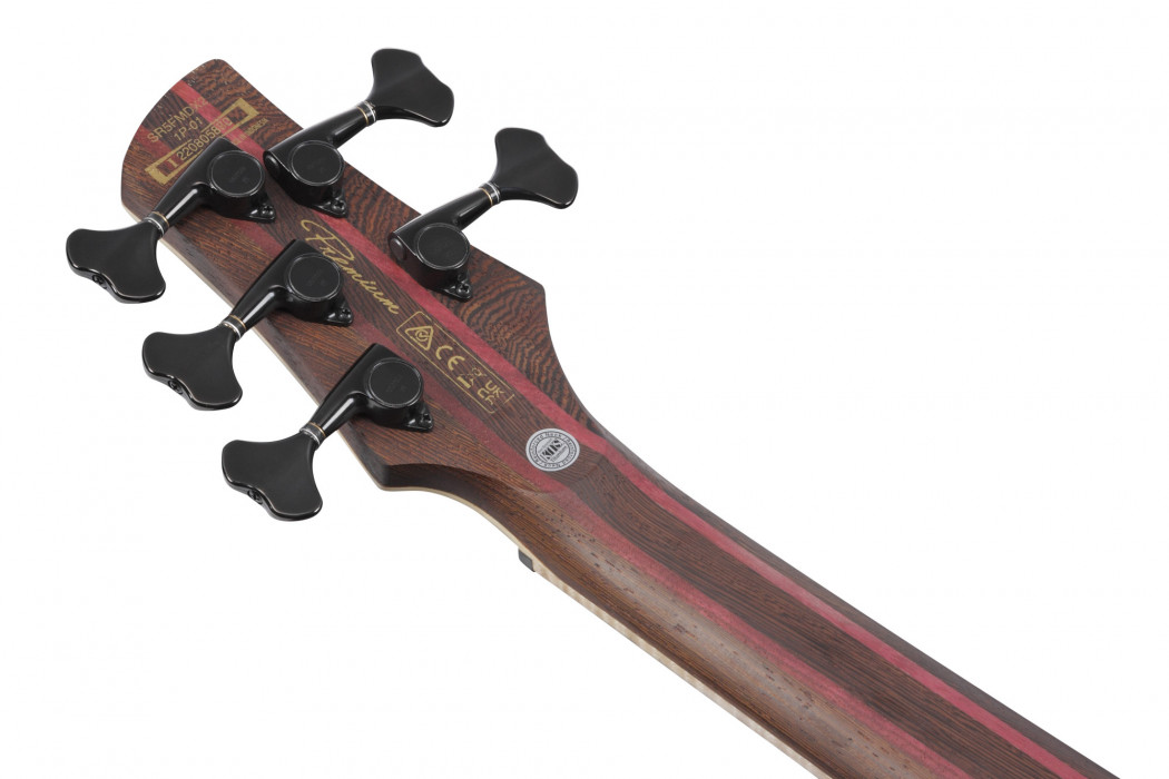 Hlavní obrázek 5strunné IBANEZ SR5FMDX2-NTL - Natural Low Gloss