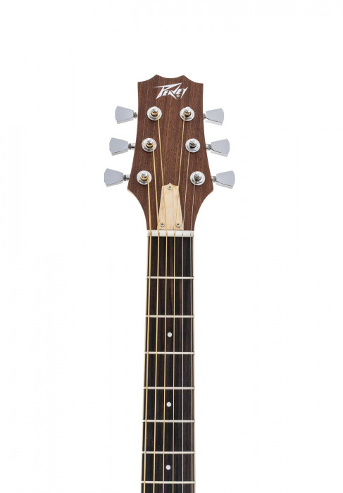 Hlavní obrázek Akustické kytary a ostatní PEAVEY Delta Woods DW-2 with Case - Natural