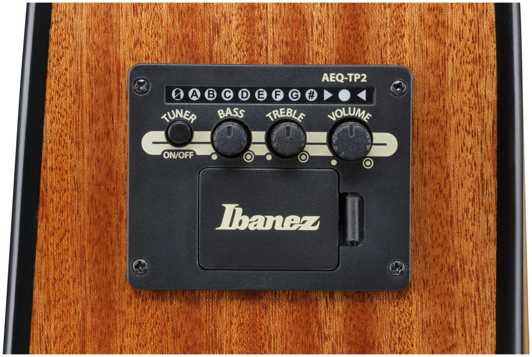 Hlavní obrázek Dreadnought IBANEZ AAD51CE-NT - Natural High Gloss