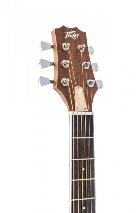 Hlavní obrázek Akustické kytary a ostatní PEAVEY Delta Woods DW-2 with Case - Natural
