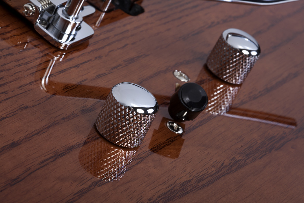 Hlavní obrázek T - modely SCHECTER PT Van Nuys - Gloss Natural Ash