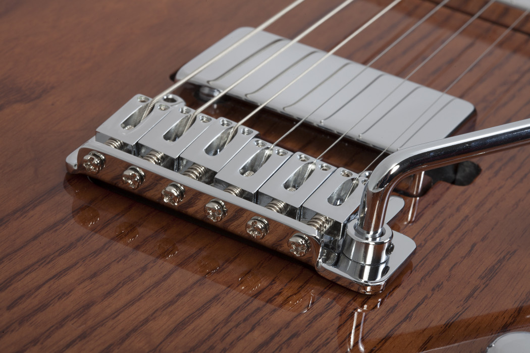 Hlavní obrázek T - modely SCHECTER PT Van Nuys - Gloss Natural Ash