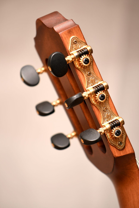 Hlavní obrázek 4/4 KANTARE Vivace S Natural