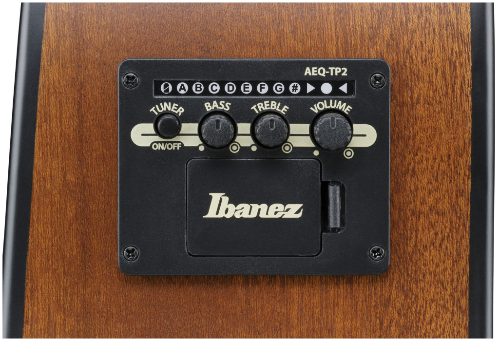 Hlavní obrázek Dreadnought IBANEZ AAD54E-OMH - Open Pore Mahogany Sunburst