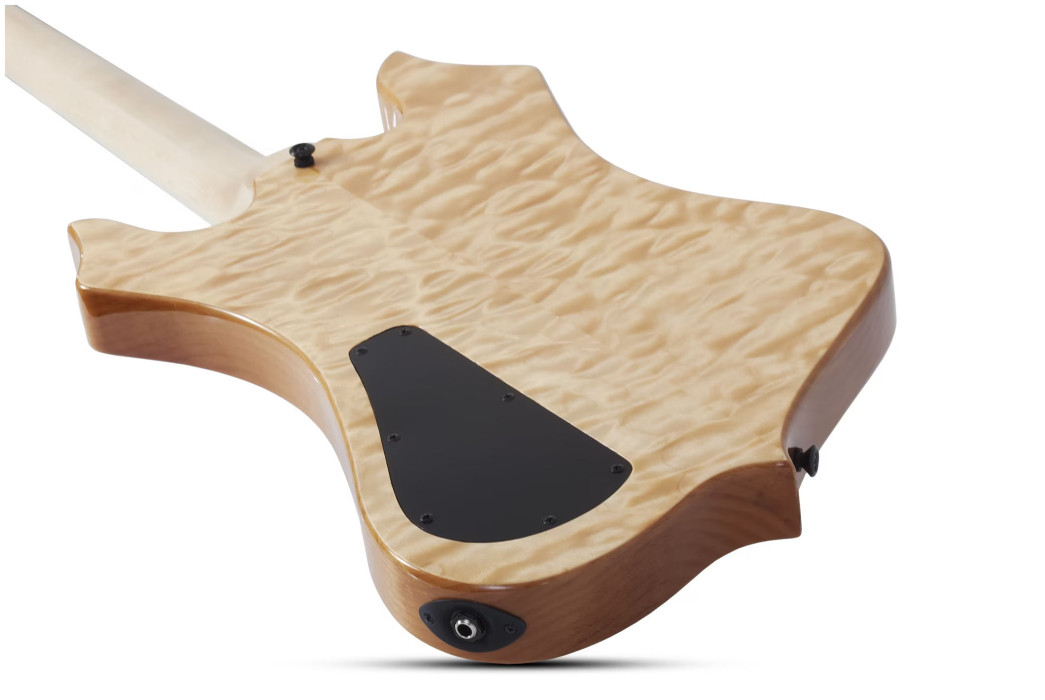 Hlavní obrázek Hard&heavy SCHECTER Wylde Audio Nomad Norse Dragon - RawTop