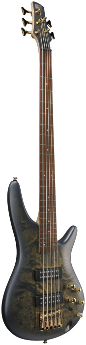 Hlavní obrázek 5strunné IBANEZ SR305EDX - Frozen Gold Matte