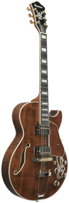 Hlavní obrázek Semiakustické a jazzové IBANEZ AG95MG-DA - Dark Amber