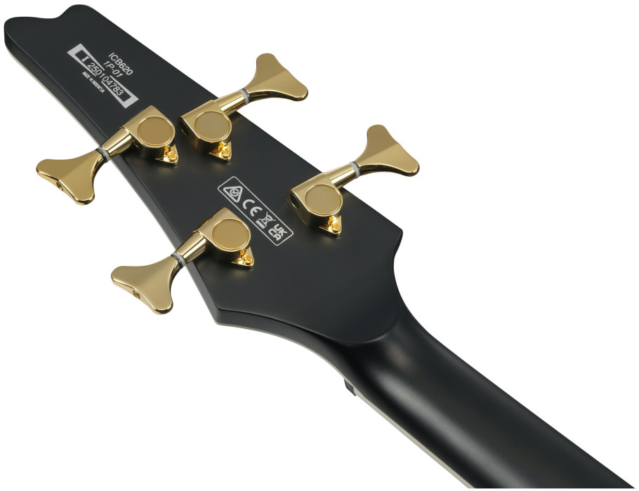 Hlavní obrázek Hard&heavy IBANEZ ICB620-BKF - Black Flat