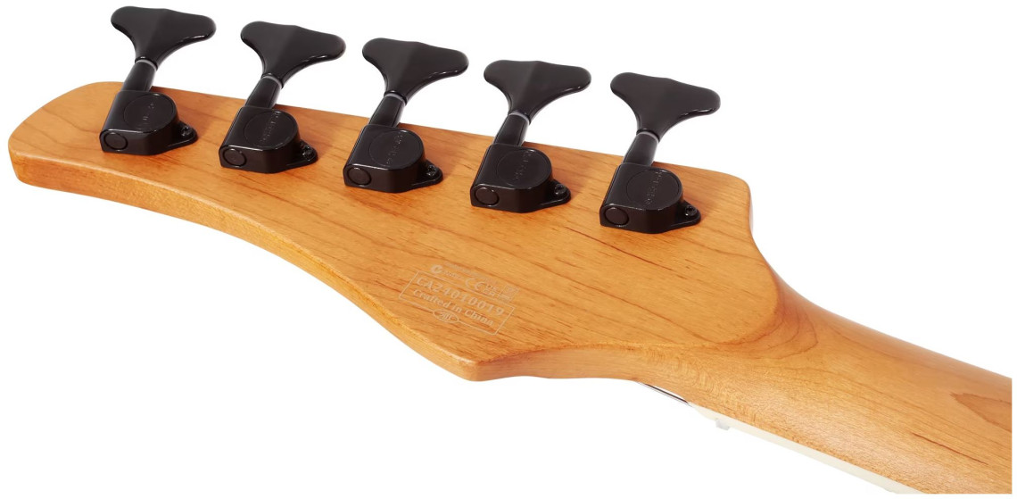 Hlavní obrázek 5strunné SCHECTER C-5 Standard - Charcoal Satin