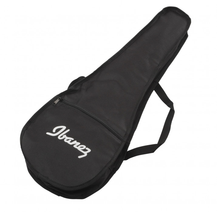 Hlavní obrázek Tenorové IBANEZ URGT100-BK - Black High Gloss