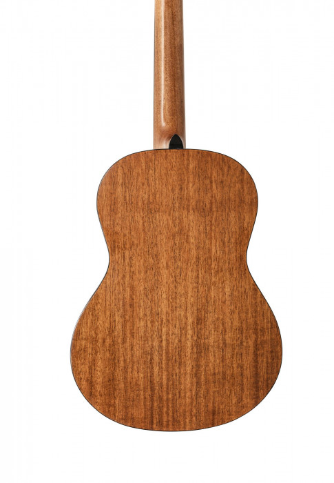 Hlavní obrázek 4/4 PEAVEY Delta Woods CNS-1 - Natural