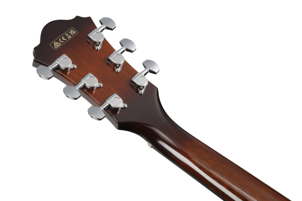 Hlavní obrázek Další tvary IBANEZ AE160-VMS - Vintage Mahogany Sunburst