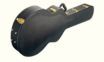 Hlavní obrázek Tvrdá pouzdra IBANEZ AFS-C