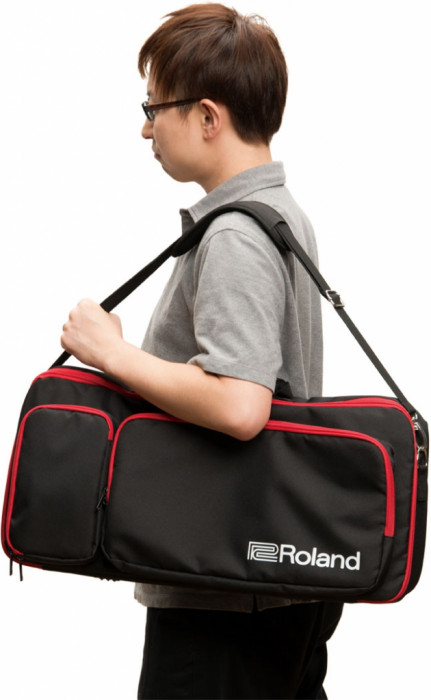 Hlavní obrázek Obaly a pouzdra ROLAND CB-JDXi