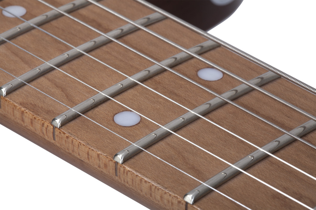 Hlavní obrázek T - modely SCHECTER PT Van Nuys - Gloss Natural Ash