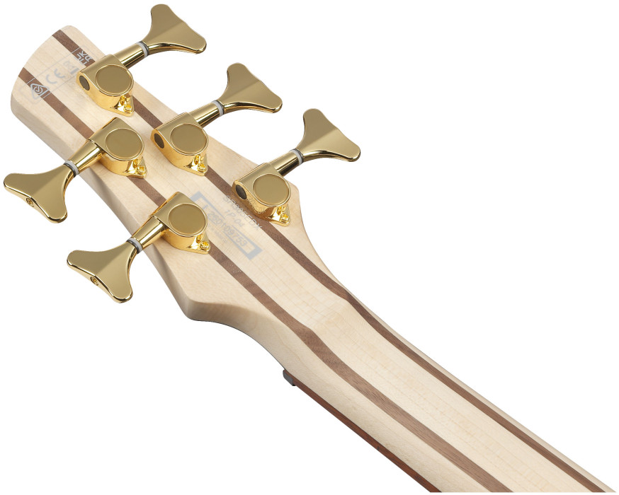 Hlavní obrázek 5strunné IBANEZ SR305EDX - Frozen Gold Matte