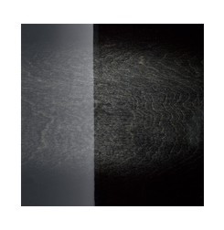 Hlavní obrázek 22“; 10“, 12“; 16“ TAMA CL52KR-TPB Superstar Classic - Transparent Black Burst
